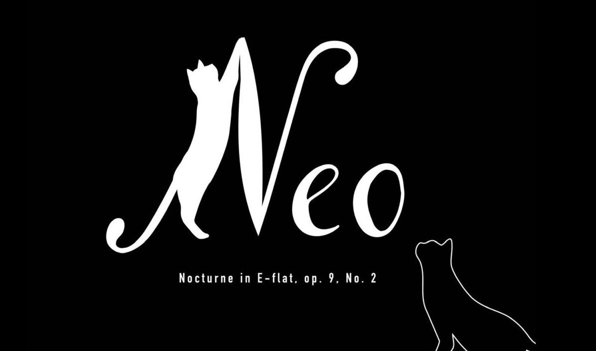 ハプ二ングバー画像 錦糸町のおすすめハプニングバー2店舗最新情報｜2025年最新情報 - 実録！ハプバー情報局